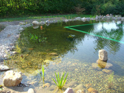 Schwimmteich mit Schwimmbadfolie